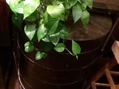 -五观堂素食(新华路店)