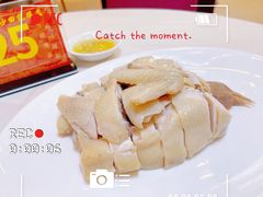 -清新鸡沙田乳鸽店(金融店)