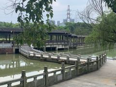 -八大山人梅湖景区