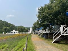 -紫海香堤香草艺术庄园