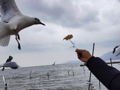-滇池海埂公园