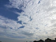 -泮金大塘(北二七路店)