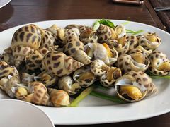 花螺-大螃蟹海鲜餐厅