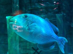 -沈阳海洋探索中心