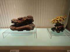 -温州博物馆