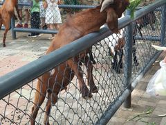 -长白岛森林公园