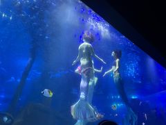 -江和美海洋公园