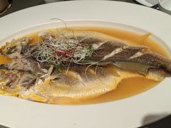 鸡油姜汁大黄鱼-朴墅(西湖青芝坞店·杭帮菜·家宴.14年的店)