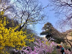 -香山公园