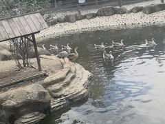 -长春农博园