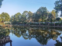 -蜀宴新村·柴火鸡(柏水店)