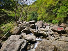 -宁波五龙潭景区