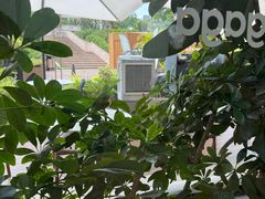 -gaga(深圳南山益田假日广场店)