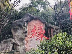 -杭州黄龙洞