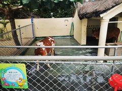 -三亚亚龙湾天域度假酒店