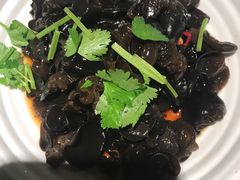 爽口木耳-绿茶餐厅(昌平悦荟店)