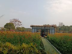 -洪湖家庭农场·团建·露营·会议
