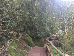 -碧峰峡风景区