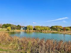 -贡湖湾湿地公园