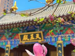 -护国法轮寺