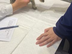 -派特宠物医院(圆融广场店)