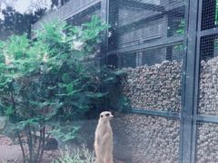 -北京动物园