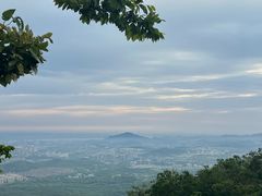 -紫金山山顶公园