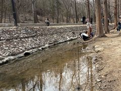-白水寺森林公园