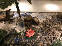 -柴米油盐(土菜院子店)