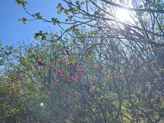 -长春公园(普阳街道)