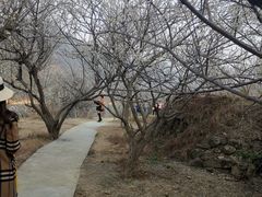 -广州市流溪河国家森林公园