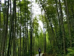 -千泷沟大瀑布旅游区
