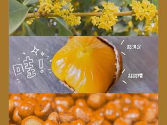 好好糖炒栗子-好好栗子店(海宁总店)