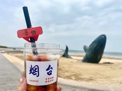 -烟台金沙滩海滨公园