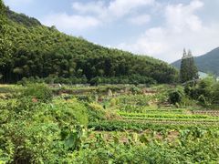 -达蓬山旅游度假区