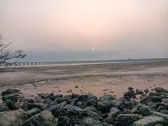 -宝安西湾红树林湿地公园