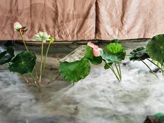 -四小姐的店(王府井店)