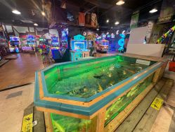 -卡通尼·Safari非洲探索乐园·生日会(金桥国际商业广场店)