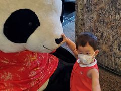 -成都保利公园皇冠假日酒店(熊猫基地店)
