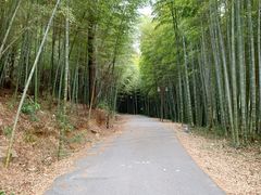 -苏州环秀晓筑养生度假村