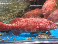 -盒马鲜生(皇庭广场店)