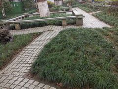 -浙江医院(灵隐院区)