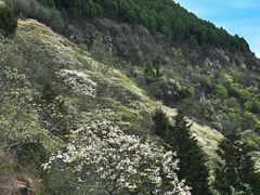-舒家湾天主教堂