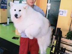 -RoMan罗马健身工作室(莘庄店)