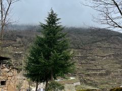-萝卜寨羌文化生态旅游区