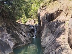 -广州白江湖森林公园