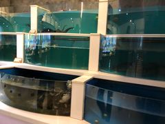 水产区-老六杀猪菜(进乡街店)