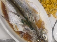 -蟹天蟹地农家菜·阳澄湖大闸蟹(浅水湾店)