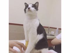 -艾贝尔宠物医院·狂犬免疫点(江山金象城店)