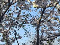 -星巴克(上海交通大学店)